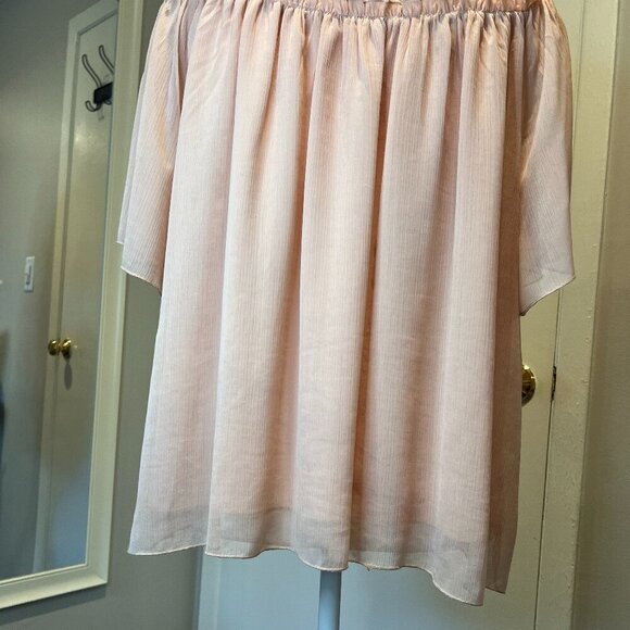 Zara Light Pink Ruffled Short Sleeve Blouse, Size Small - Picture 15 of 16